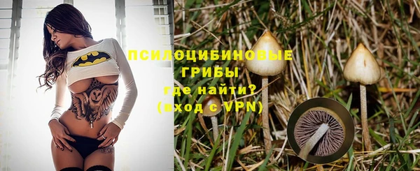 Альфа ПВП Верхний Тагил