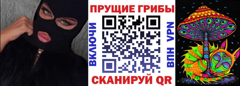 Галлюциногенные грибы Psilocybe Южноуральск