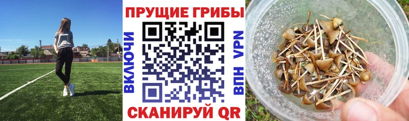 Псилоцибиновые грибы мухоморы  что такое наркотик  Южноуральск 